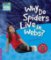Cambridge Factbooks 4: Why do spiders live in webs? Cambridge Factbooks 4: Why do spiders live in webs?