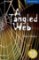 Tangled Web Tangled Web