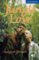 Jungle Love Jungle Love