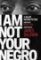 I am Not Your Negro