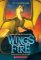 Darkness of Dragons (Wings of Fire10) Darkness of Dragons (Wings of Fire10)