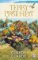 Guards! Guards!: (Discworld Novel 8) Guards! Guards!: (Discworld Novel 8)