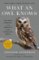 What an Owl Knows What an Owl Knows
