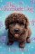 The Chocolate Dog