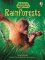 Beginners Rainforests Beginners Rainforests