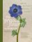 The Pressed Flower Handbook The Pressed Flower Handbook