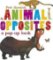 Animal Opposites Animal Opposites