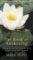 The Book of Awakening : Having the Life You Want By Being Present in the Life You Have The Book of Awakening : Having the Life You Want By Being Present in the Life You Have