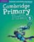 Cambridge Primary Path 5 Grammar and Writing Workbook