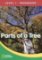 Parts of a Tree 1: Workbook