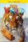 Our World 3 Class DVD (Video DVD) International edition