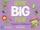 New Big Fun 3 Teacher´s Book