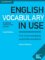English Vocabulary in Use Pre-intermediate and Intermediate Book with Answers English Vocabulary in Use Pre-intermediate and Intermediate Book with Answers