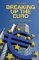Breaking Up the Euro: The End of a Common Currency