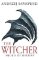 Sword of Destiny: Tales of the Witcher - Now a major Netflix show