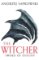 Sword of Destiny: Tales of the Witcher - Now a major Netflix show Sword of Destiny: Tales of the Witcher - Now a major Netflix show