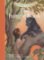 The Jungle Book The Jungle Book
