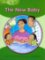 Little Explorers A: The New Baby Big Book Little Explorers A: The New Baby Big Book
