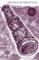 The Amber Spyglass (His Dark Materials 3) The Amber Spyglass (His Dark Materials 3)