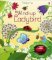 Wind-Up Ladybird Wind-Up Ladybird