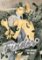 Finder Deluxe Edition: On One Wing 3 Finder Deluxe Edition: On One Wing 3