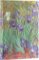 Van Gogh’s Irises Midi Adresář Van Gogh’s Irises Midi Adresář