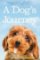 A Dog´s Journey