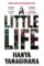 A Little Life A Little Life