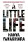 A Little Life A Little Life