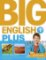 Big English Plus 1 Activity Book