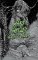 Mary Shelley: Gothic Tales Mary Shelley: Gothic Tales