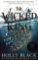 The Wicked King The Wicked King