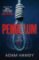 Pendulum Pendulum