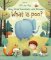 Lift-The-Flap Very First Questions & Answers : What is Poo? Lift-The-Flap Very First Questions & Answers : What is Poo?