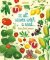 It All Starts with a Seed...how food grows