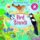 Bird Sounds Bird Sounds