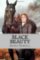 Black Beauty Black Beauty