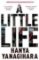 A Little Life A Little Life