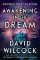 Awakening In The Dream : Contact with the Divine