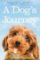 Dog´s Journey Dog´s Journey