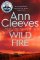 Wild Fire Wild Fire