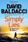 Simply Lies: from the number one bestselling author of the 6:20 Man Simply Lies: from the number one bestselling author of the 6:20 Man