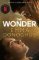 The Wonder The Wonder
