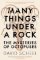 Many Things Under a Rock: The Mysteries of Octopuses Many Things Under a Rock: The Mysteries of Octopuses