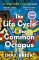 Life Cycle of the Common Octopus Life Cycle of the Common Octopus