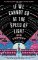 If We Cannot Go at the Speed of Light If We Cannot Go at the Speed of Light