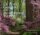 Du Pont Gardens of the Brandywine Valley Du Pont Gardens of the Brandywine Valley