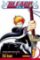 Bleach 1 (anglicky)