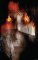Neil Gaiman´s The Last Temptation 20th Anniversary Deluxe Edition Hardcover