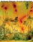 Wolfgang Tillmans: To look without fear Wolfgang Tillmans: To look without fear